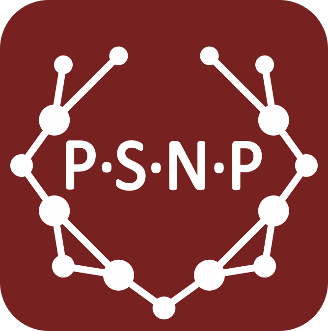 Past Social Networks Project logo